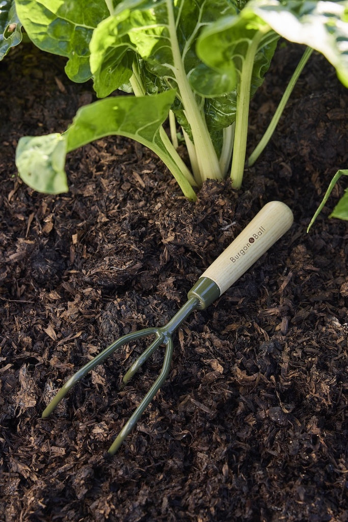 Boron Green Claw Cultivator