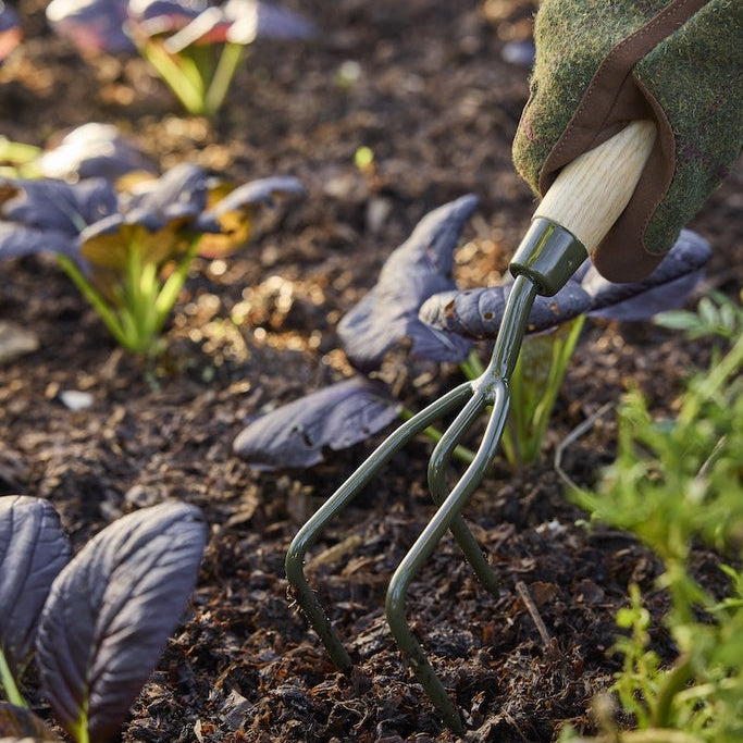 Boron Green Claw Cultivator