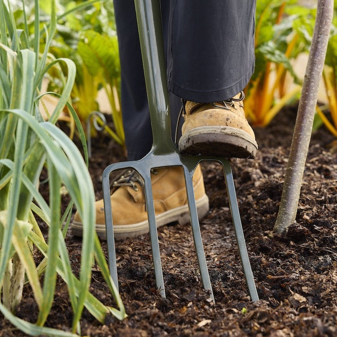 Boron Green Digging Fork