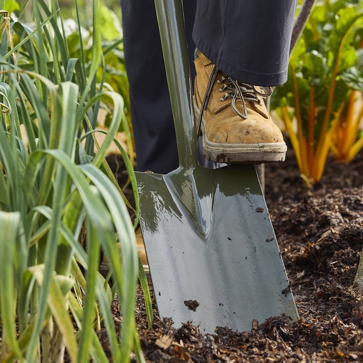 Boron Green Digging Spade