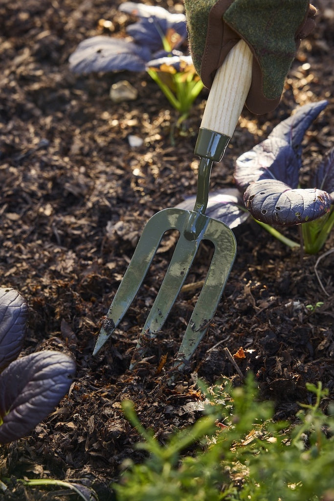 Boron Green Hand Fork