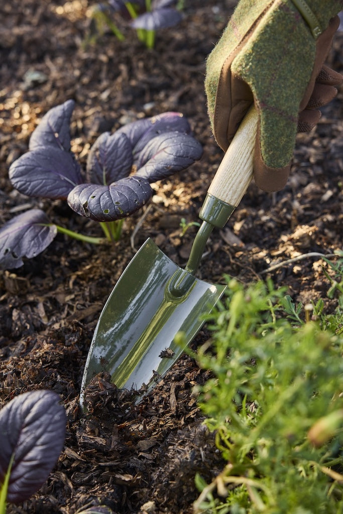 Boron Green Hand Trowel