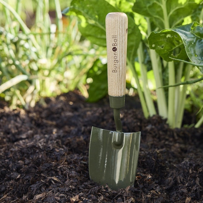 Boron Green Hand Trowel