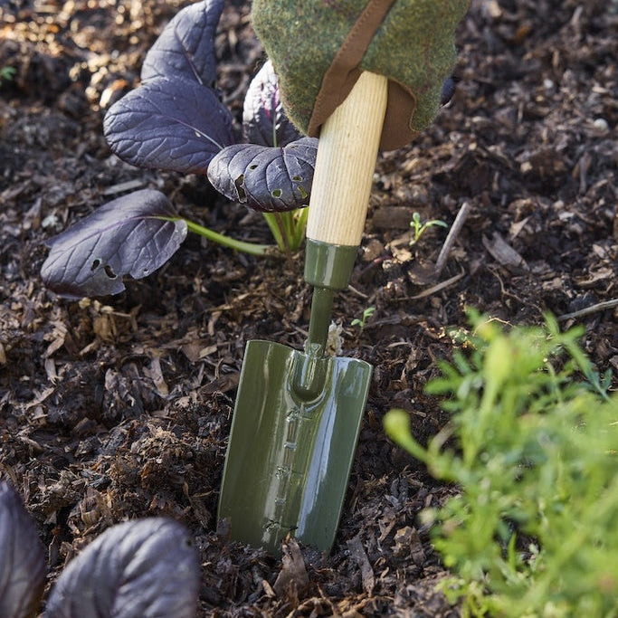 Boron Green Transplanter