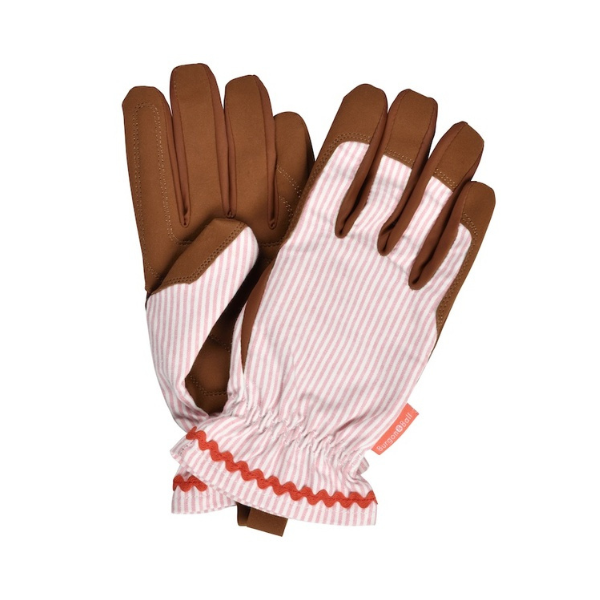 Collector Gloves / Blush Stripe