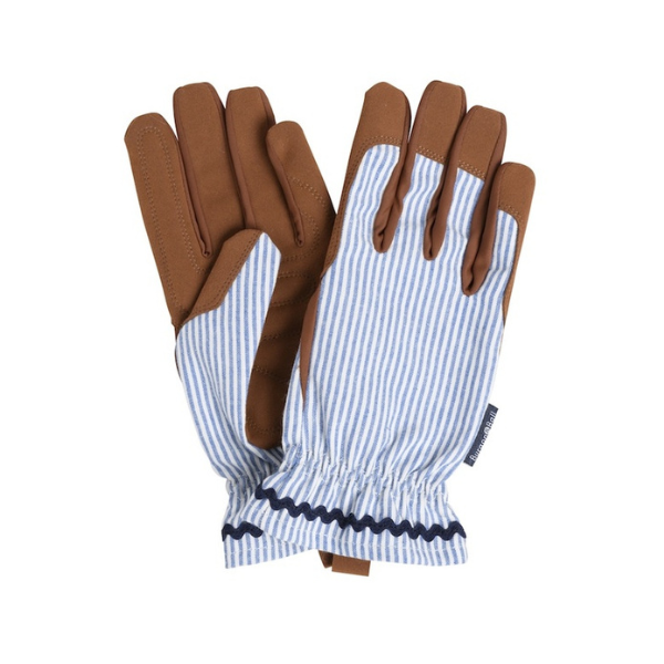Collector Gloves / Blue Stripe