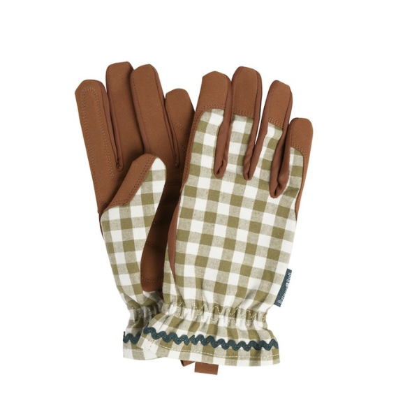 Collector Gloves / Olive Check