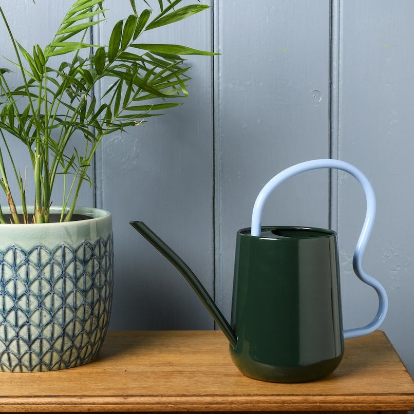 Collector Scalloped Indoor Watering Can / Green