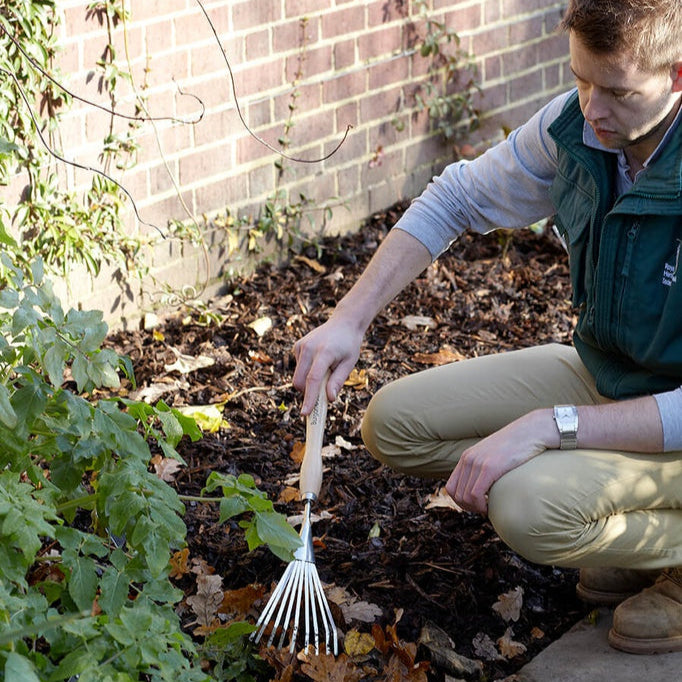 Stainless Mid Handled Shrub Rake
