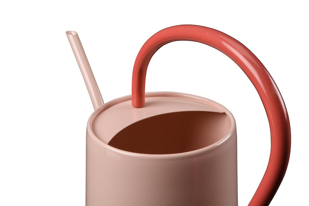 Collector Scalloped Indoor Watering Can / Blush