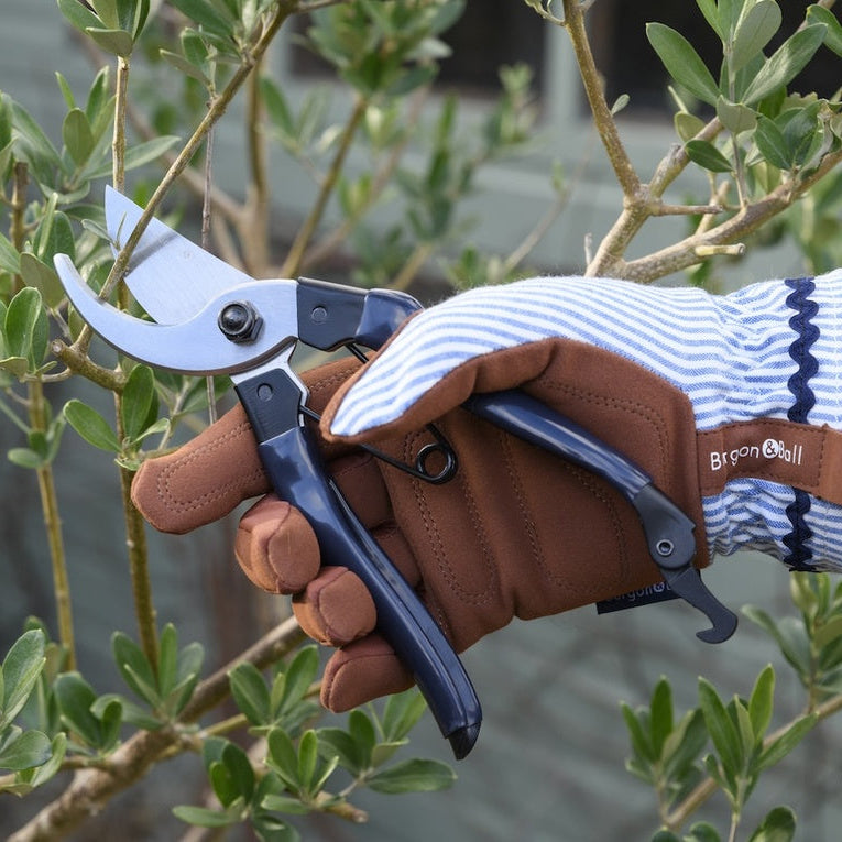 Collector Bypass Secateurs / Navy