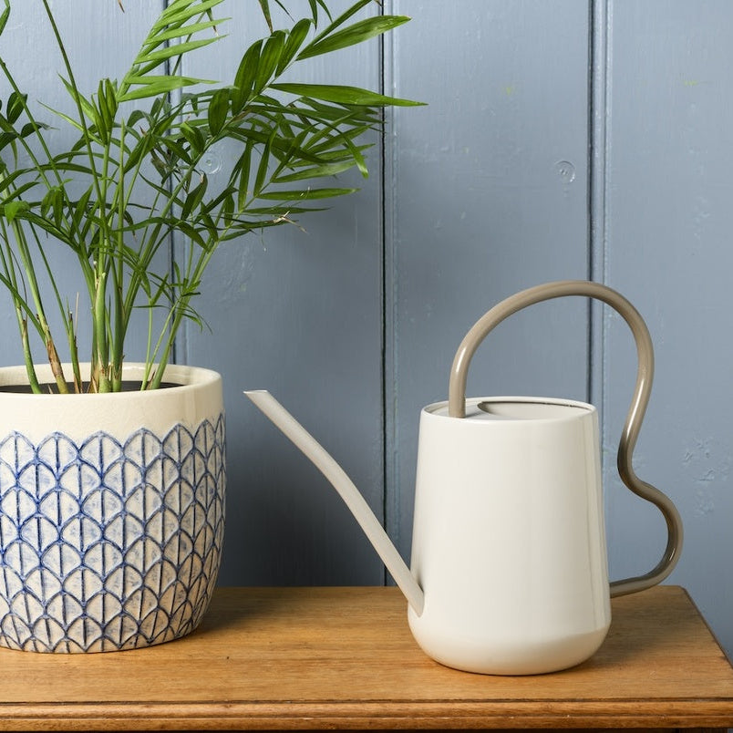 Collector Scalloped Indoor Watering Can / Mushroom