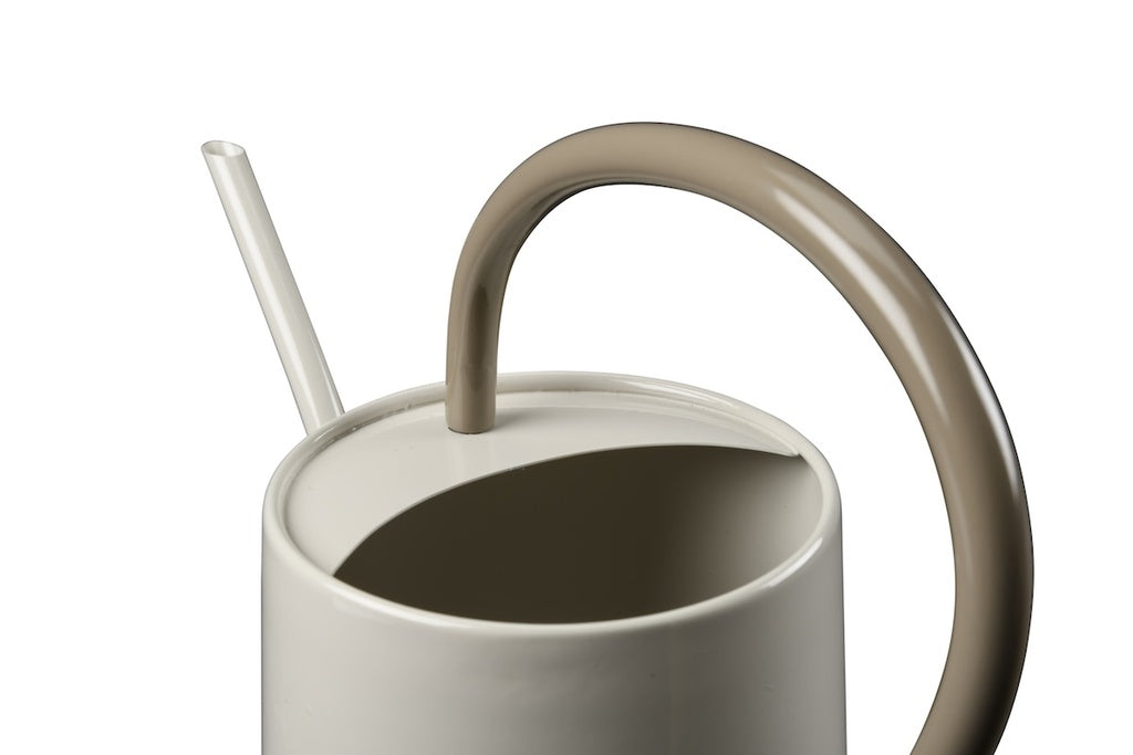 Collector Scalloped Indoor Watering Can / Mushroom