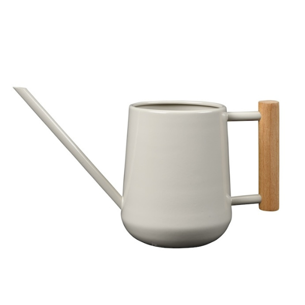 Indoor Watering Can / Mushroom