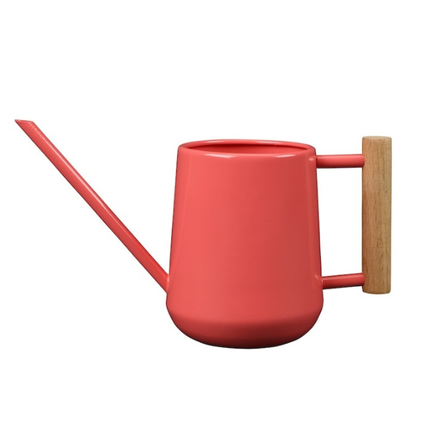 Indoor Watering Can / Coral