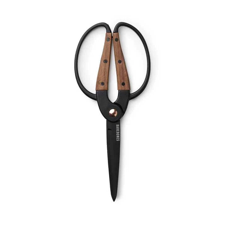 Walnut Scissors Large