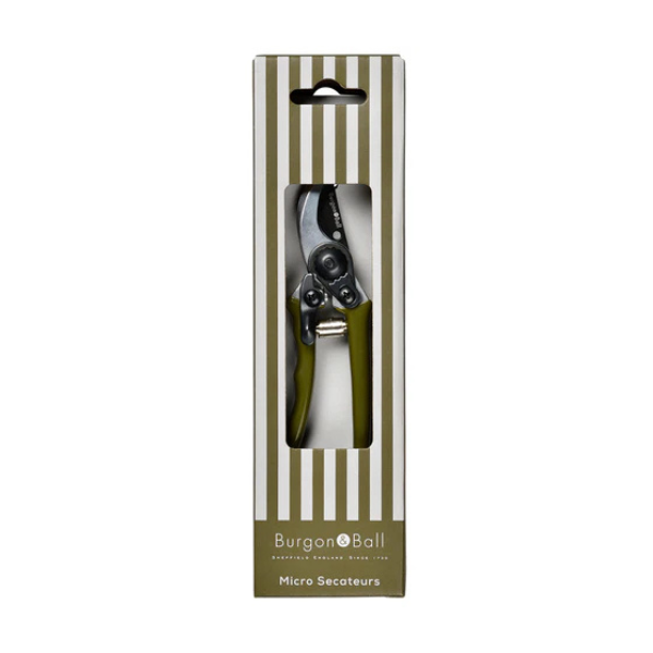 Collector Micro Secateurs / Olive