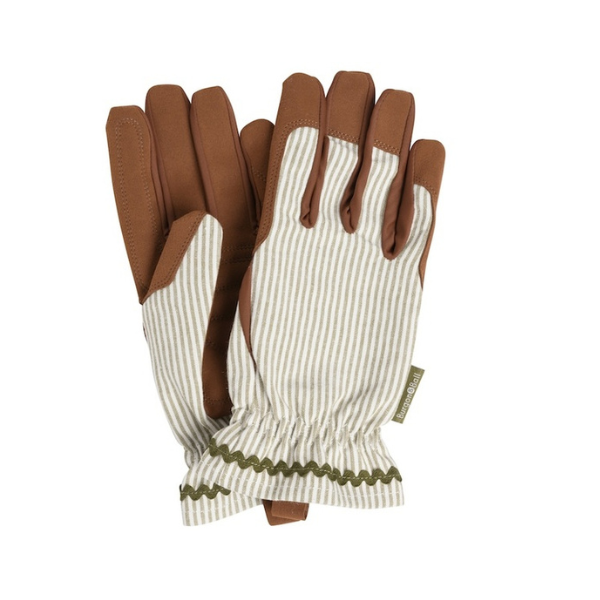 Collector Gloves / Olive Stripe