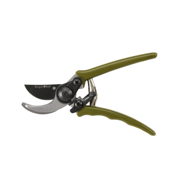 Collector Micro Secateurs / Olive