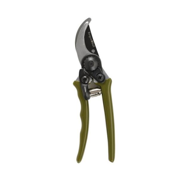 Collector Micro Secateurs / Olive