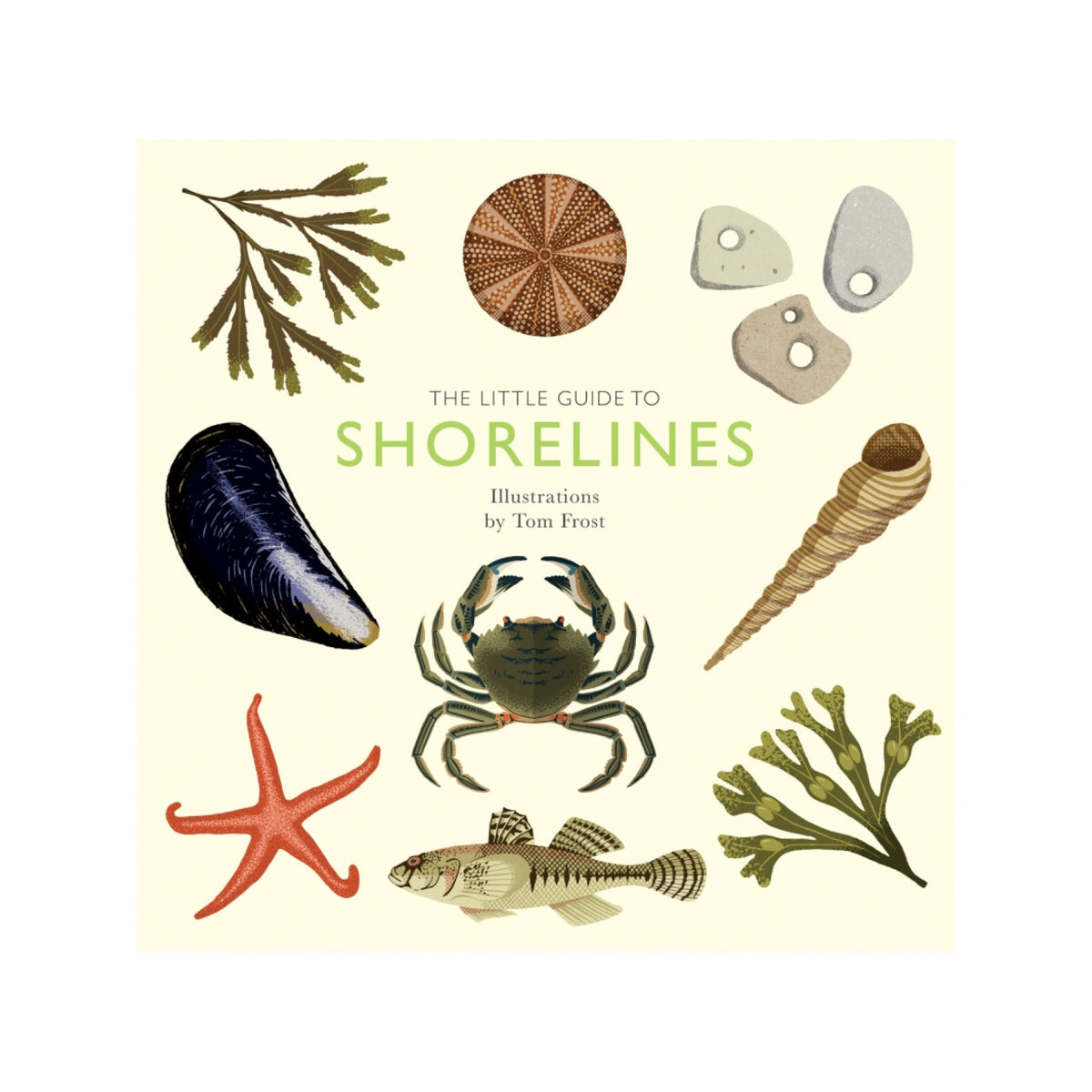 The Little Guide To Shorelines