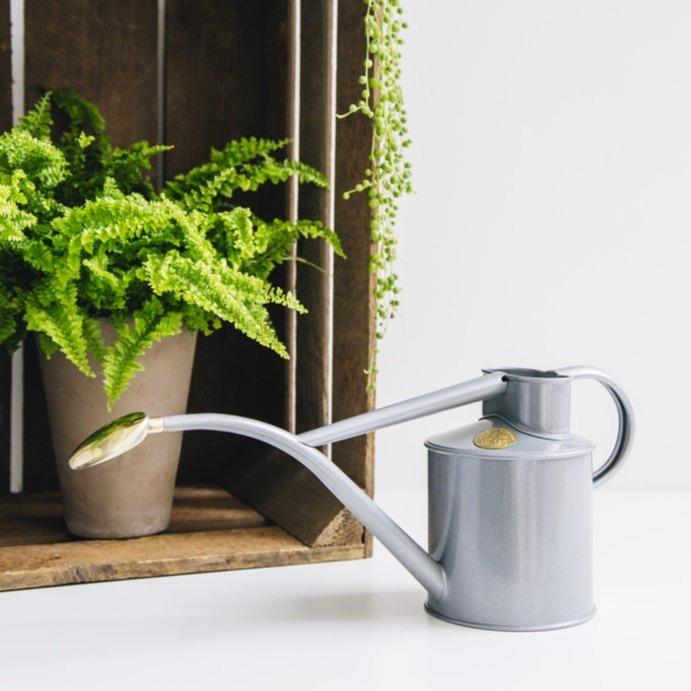 'The Rowley Ripple' 1L Watering Can / Titanium