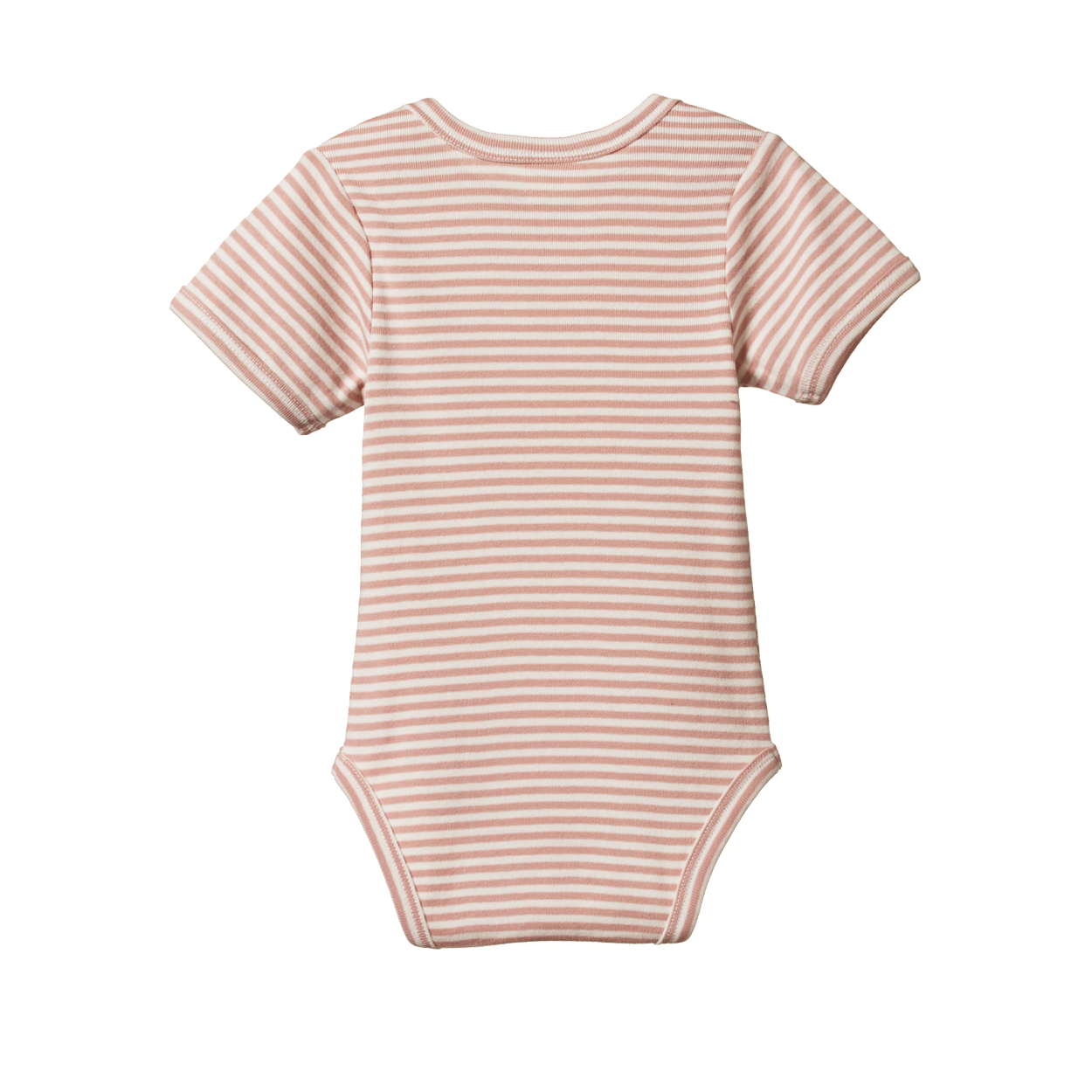 Cotton Short Sleeve Bodysuit / Tulip Stripe